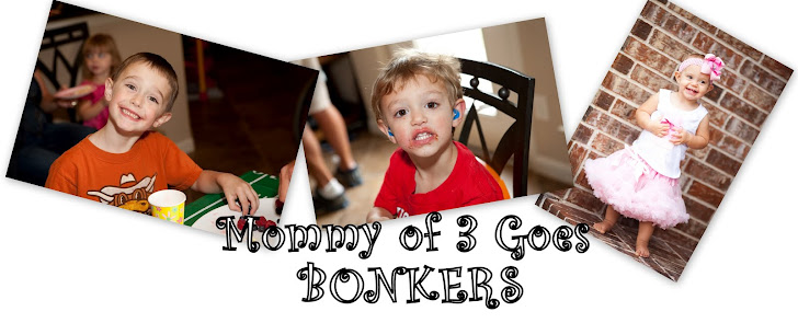 Mommy of 3 Goes Bonkers