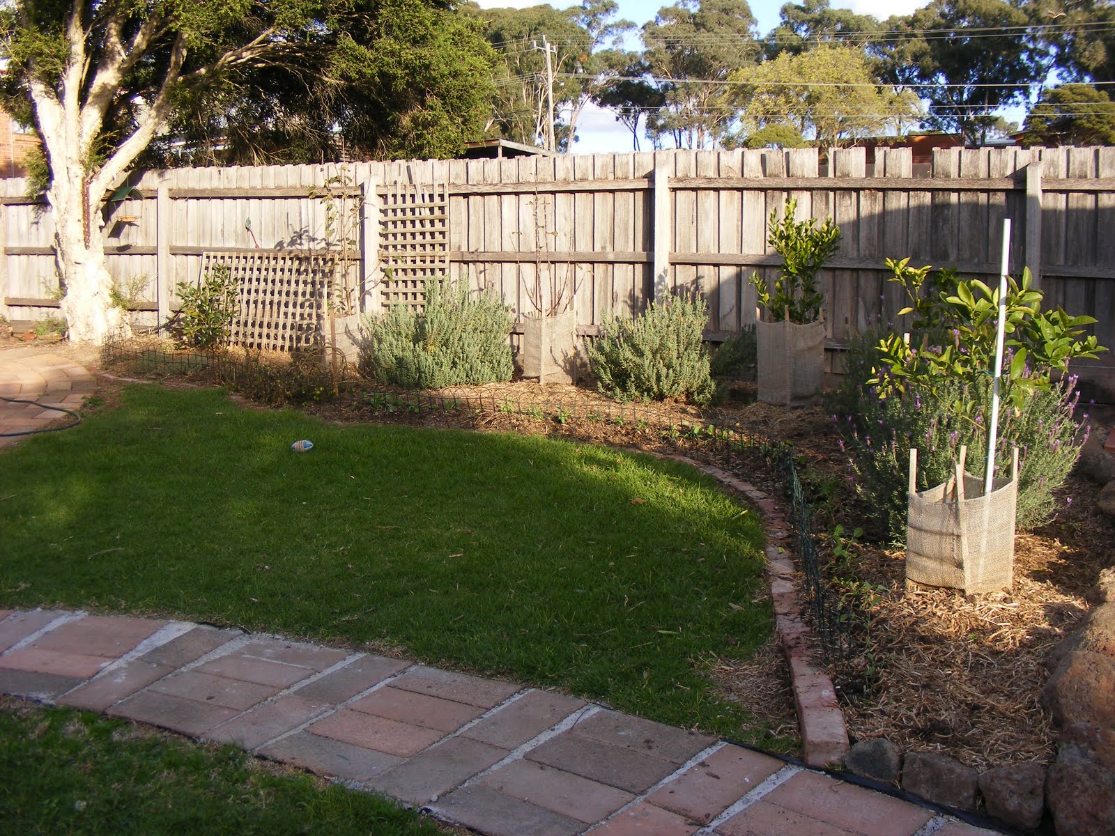 Backyard Self Sufficiency 4 Setting Up The Horseshoe Garden