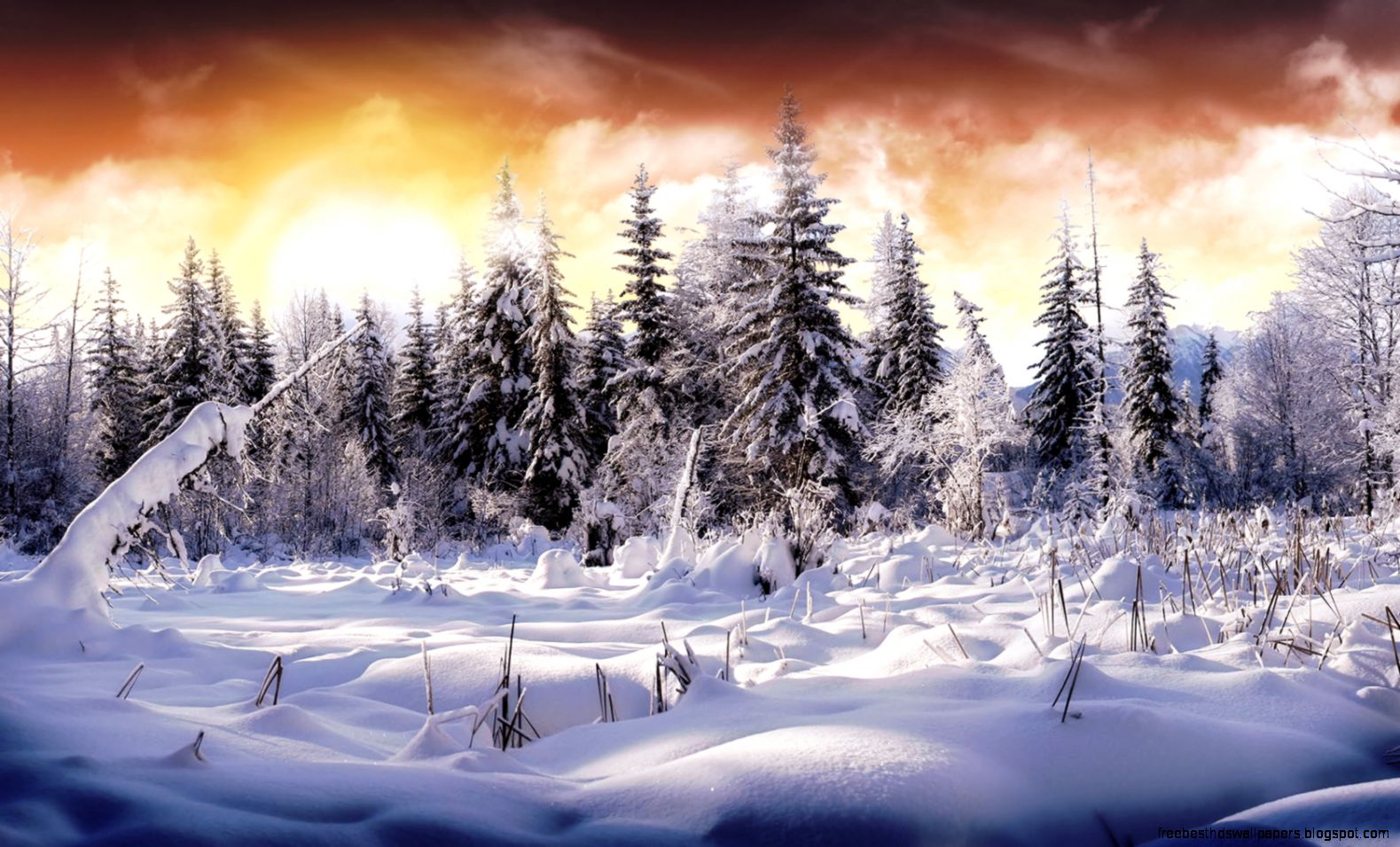 HD Wallpapers 1680x1050 » Nature » Winter Wonderland HD Wallpapers 1680x1050 » Nature » Winter Wonderland