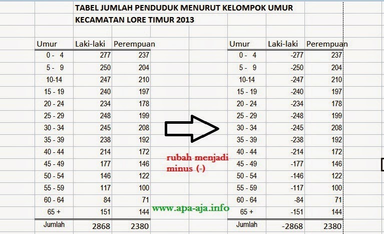Tutorial Membuat Piramida Penduduk Dengan Excel 2007 Tempat Berbagi Informasi