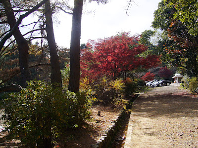 京都市・宝が池公園ウォーキング