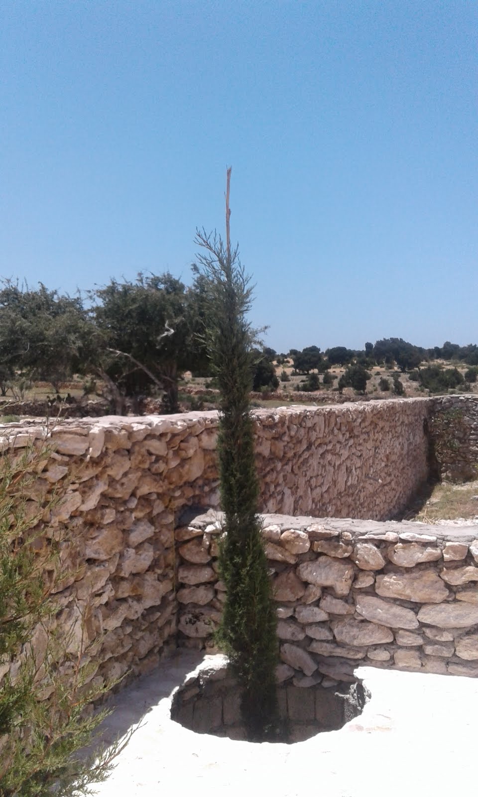 vue sur les dunes et la forêt