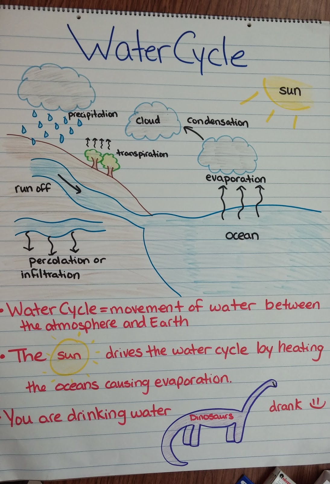 Water Cycle Anchor Chart