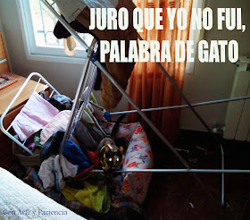 JURO QUE YO NO FUI, PALABRA DE GATO