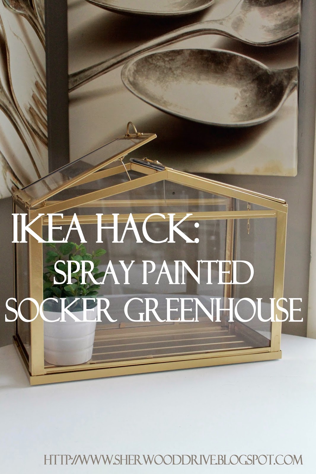 Sherwood Drive Ikea Hack Gold Terrarium/Green House