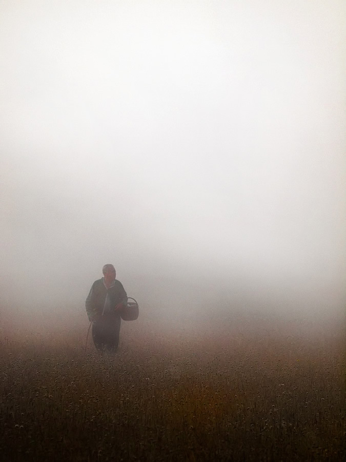 ألوان المساء - صور في غاية الروعة Art Photography, Visions Of Last Summer Seeker+in+the+fog+..-4