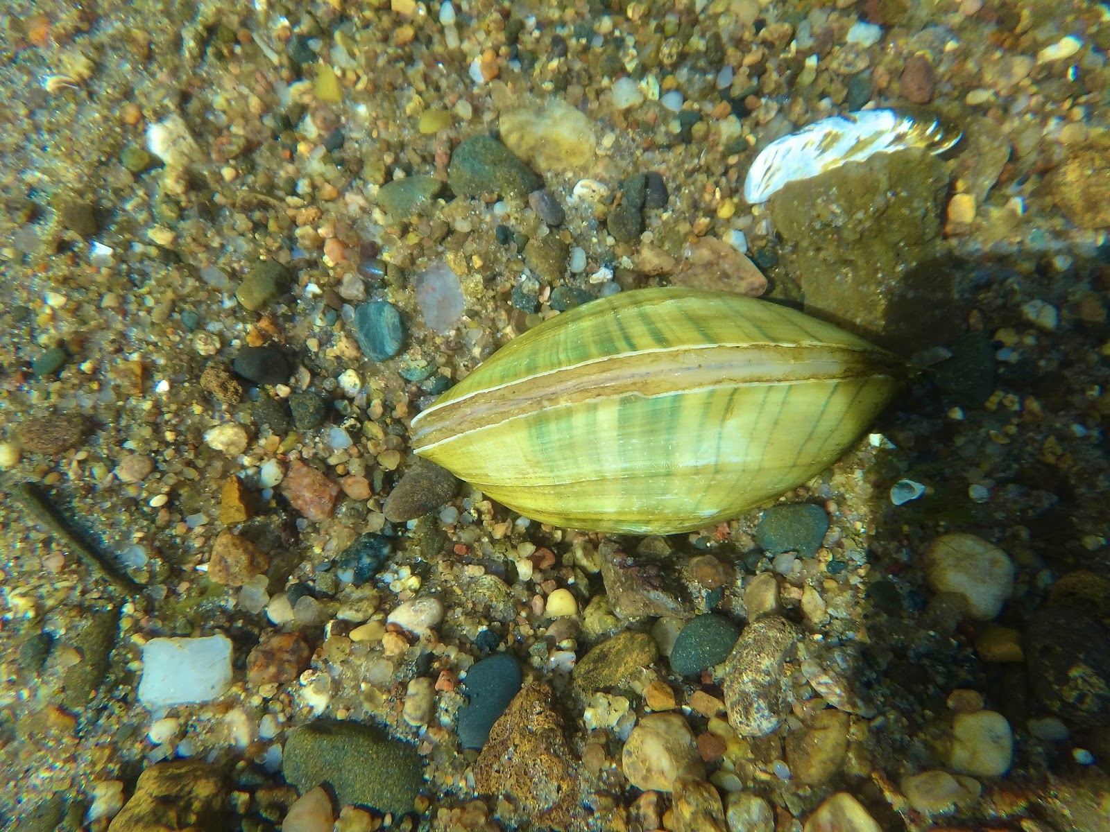 Russman's spot Tubing the Zumbro River