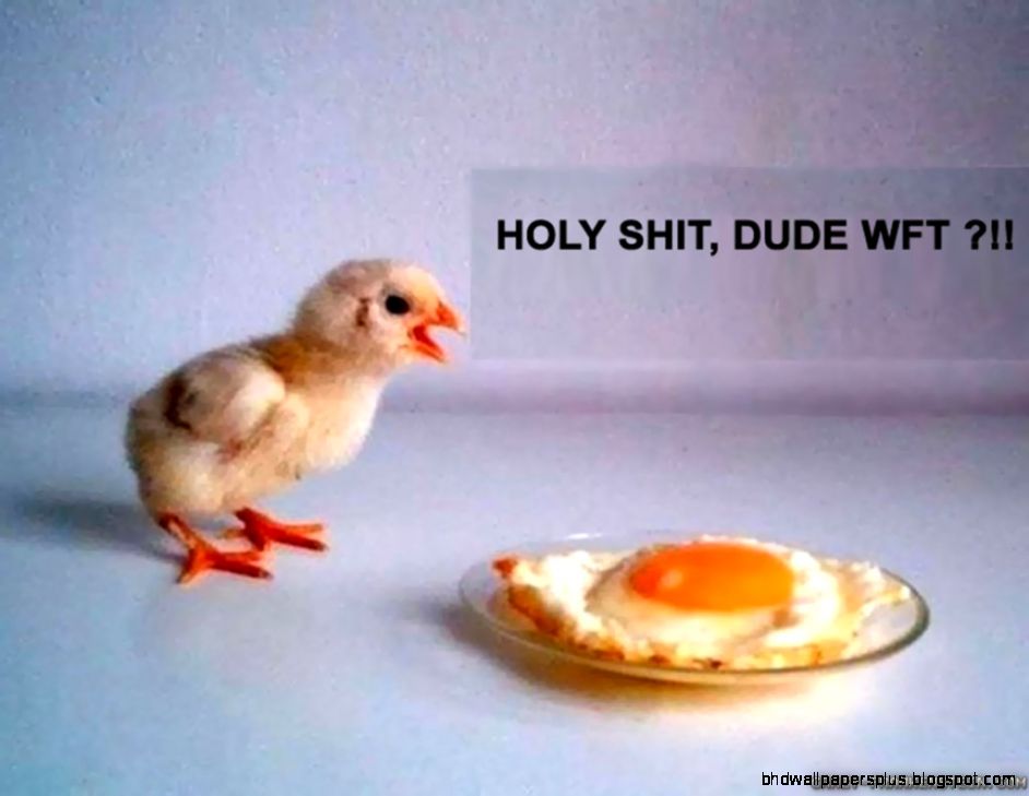 Holy  dude WTF  Easter  Pinterest  Funny Easter Pictures Holy  dude WTF  Easter  Pinterest  Funny Easter Pictures