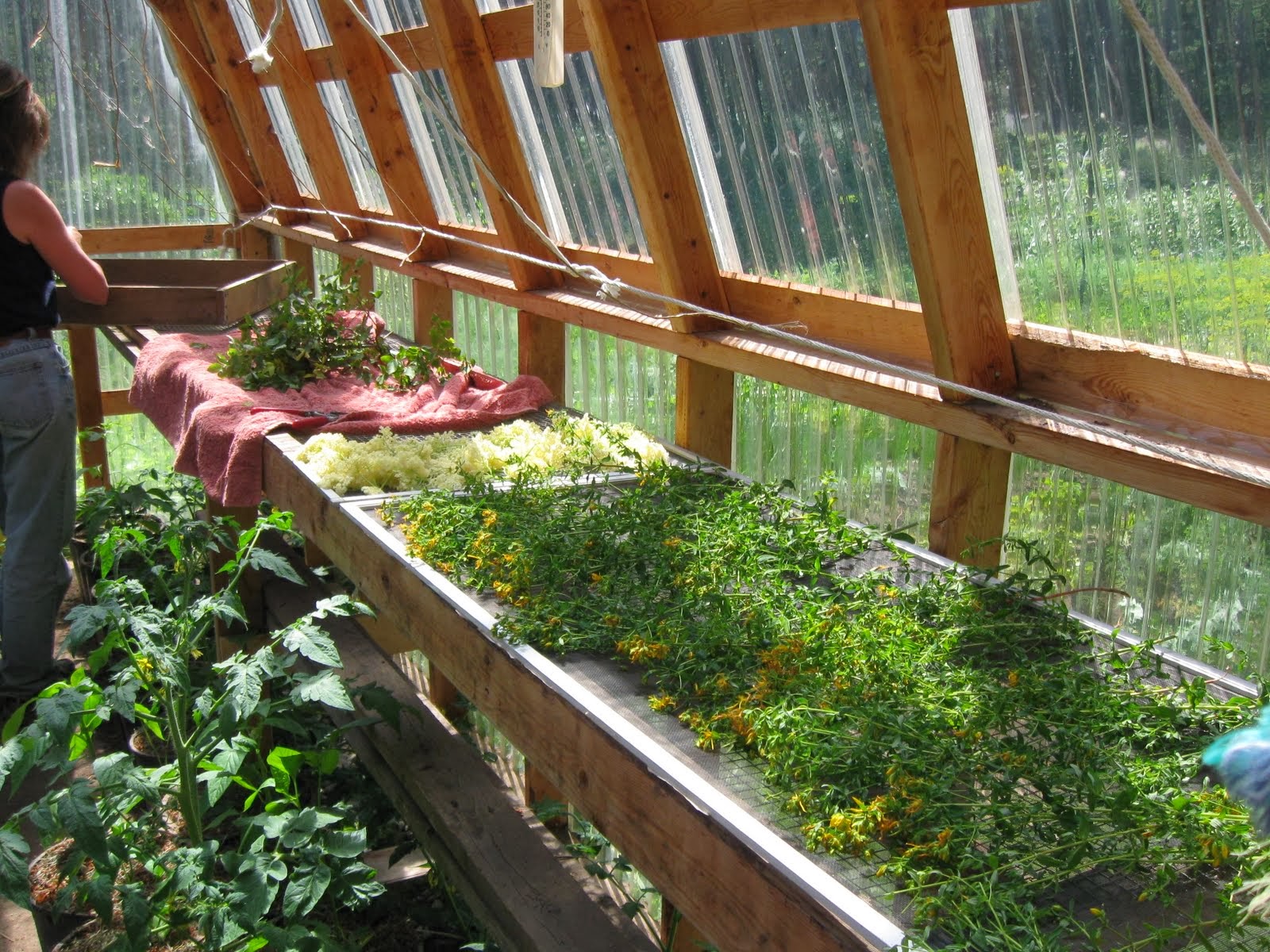 ФАРМАЦЕУТСКА ТЕХНОЛОГИЈА СУШЕЊЕ