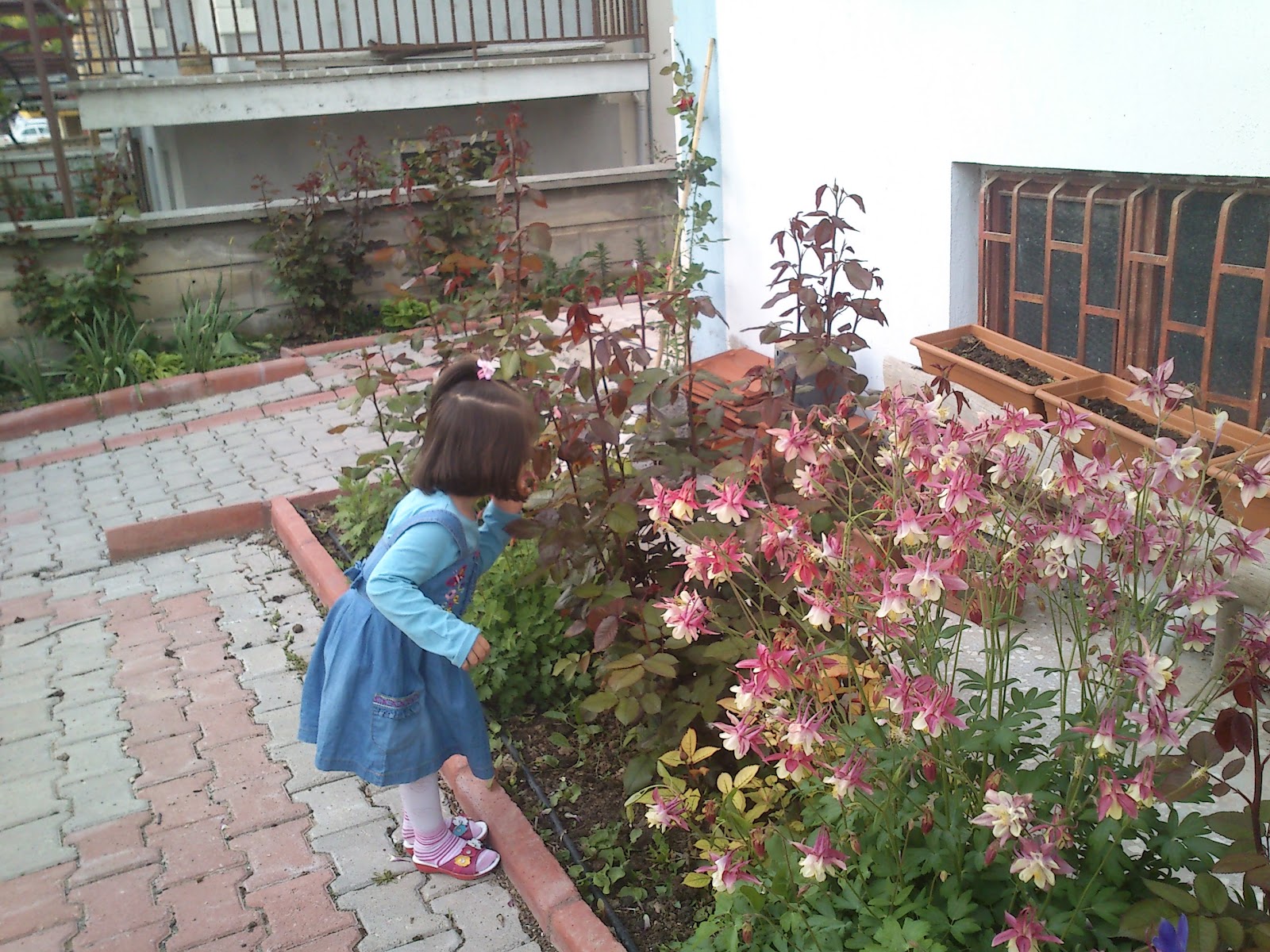 Filizimsi&hellip; Bahçeden&hellip;