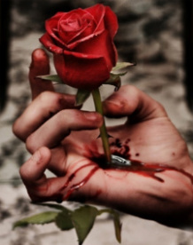 Rose And Blood