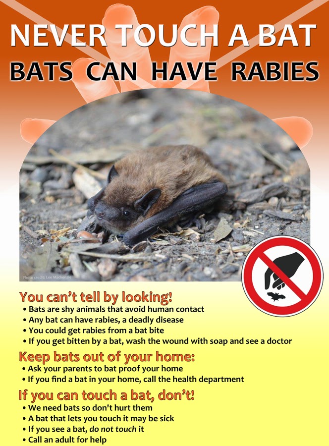 As Many Exceptions As Rules They Can See The Blood Running Through You