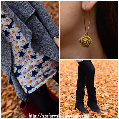 Jesiennie... i znowu stokrotki ;)