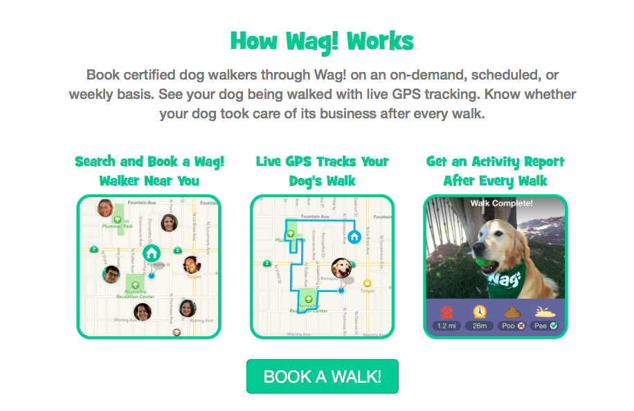wag deluxe walk