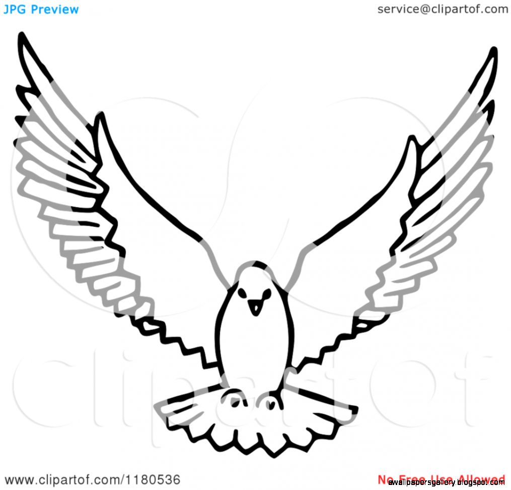 Clipart of a Black and White Dove Flying Royalty Free Vector Clipart of a Black and White Dove Flying Royalty Free Vector