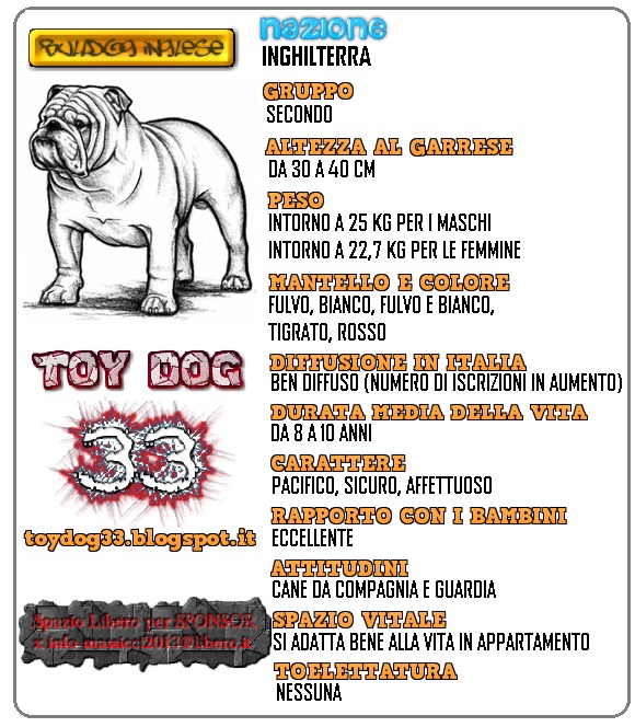 Toy Dog 33 La Vera Storia Del Bulldog Inglese