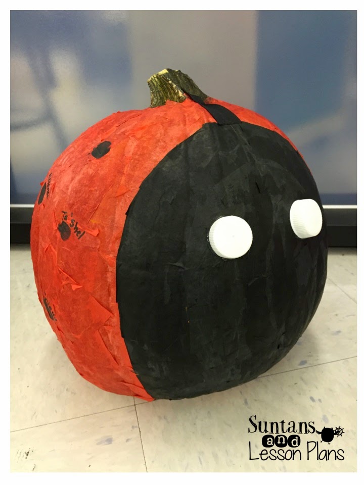 Suntans and Lesson Plans STEAM Lab Pumpkin Patch 2014