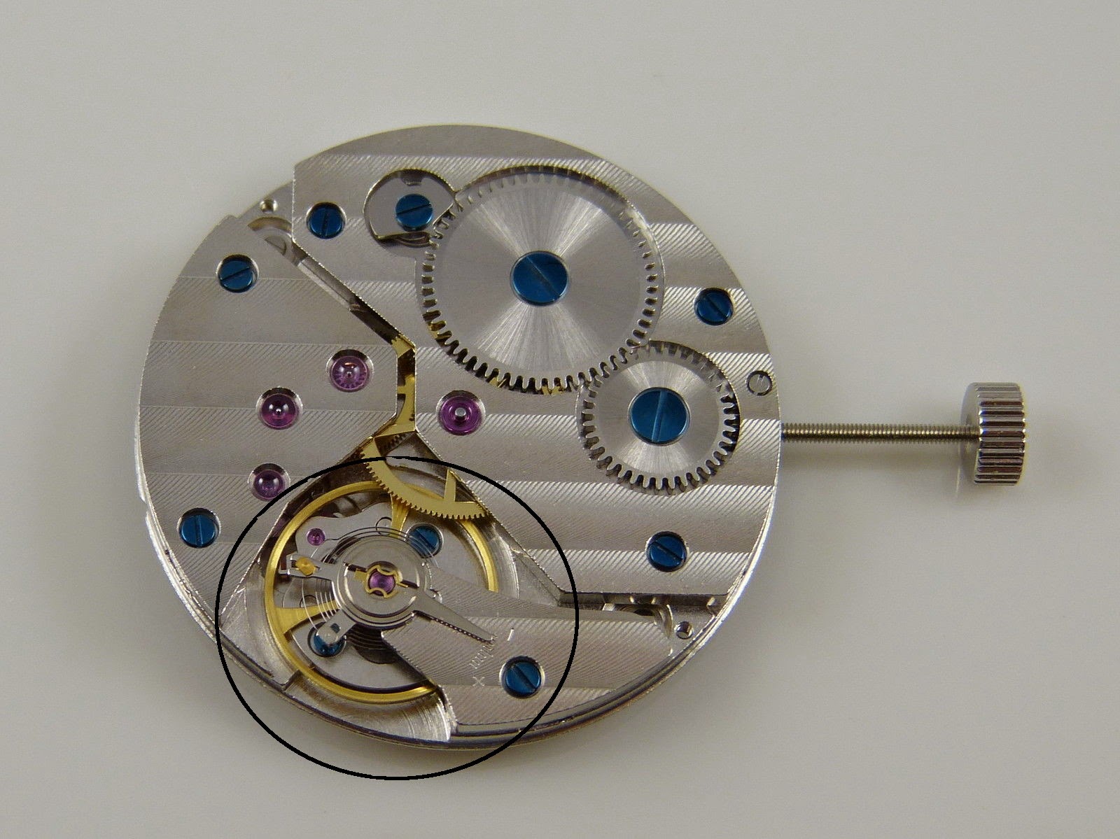 Parnis with Seagull Movements Racing to the Finish