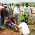 शाहजहाँपुर - 15 अगस्त को होगा वृहद वृक्षारोपण, लगेंगे पाँच लाख पौधे