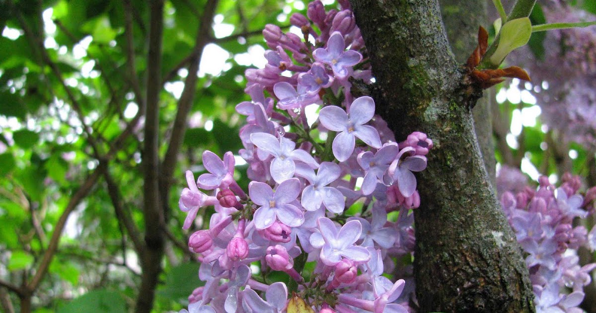 Long Island Daily Photo