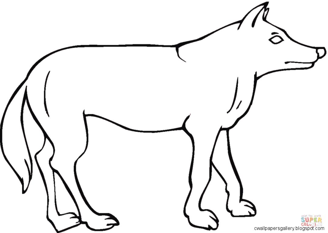 Coyote Coloring Pages Coyote Coloring Pages