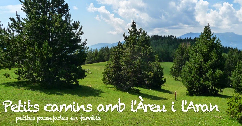 Petits camins amb l'Àreu i l'Aran