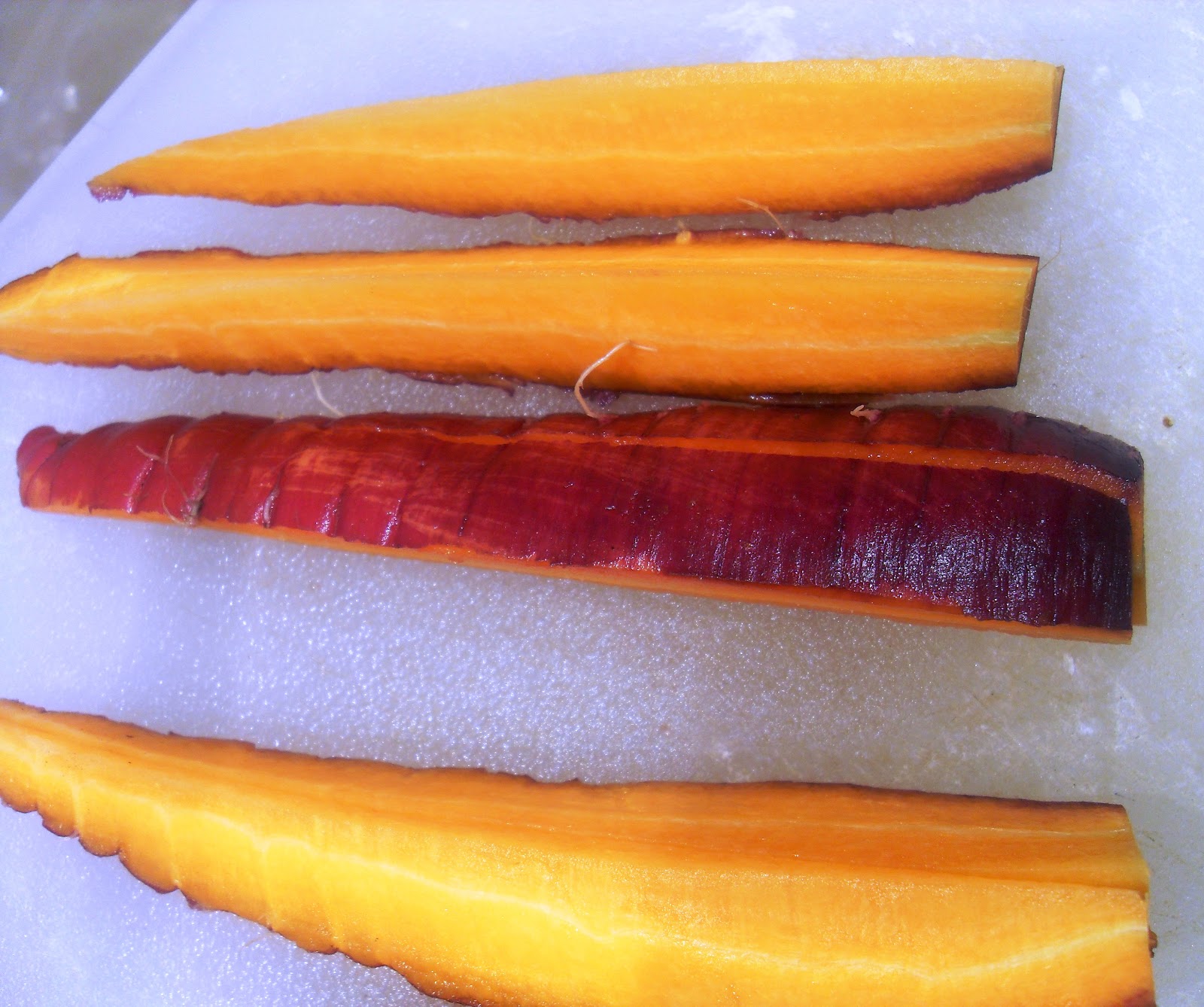 bearded-dragon-carrot-costume.jpg