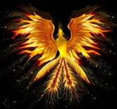 the phoenix