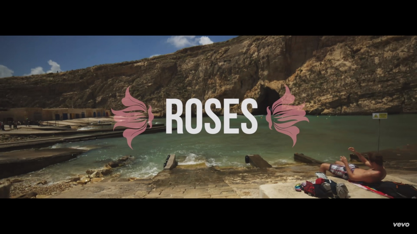 The Chainsmokers Roses ( Lyric Video ) ft. ROZES 365 Days With Music