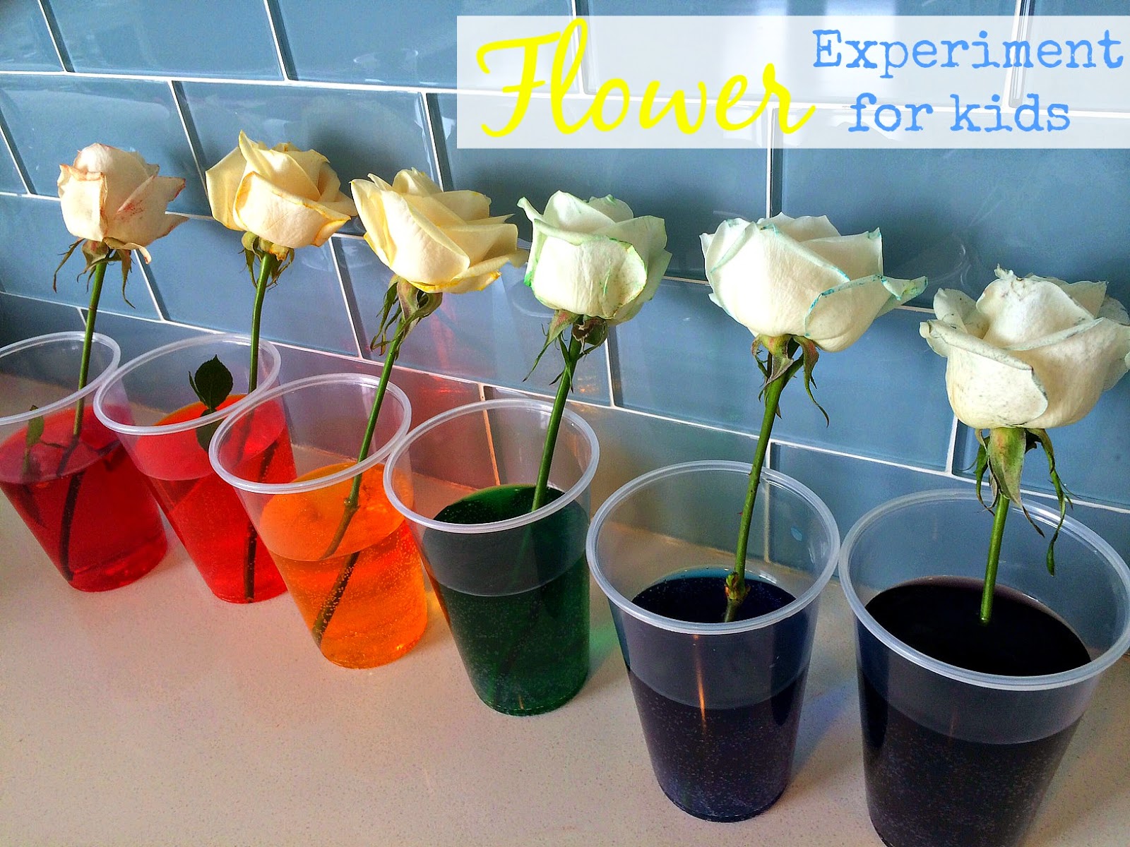 Blue Skies Ahead Flower Science Experiment for Kids