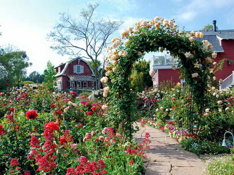 Garden Flower With House|http://refreshrose.blogspot.com/