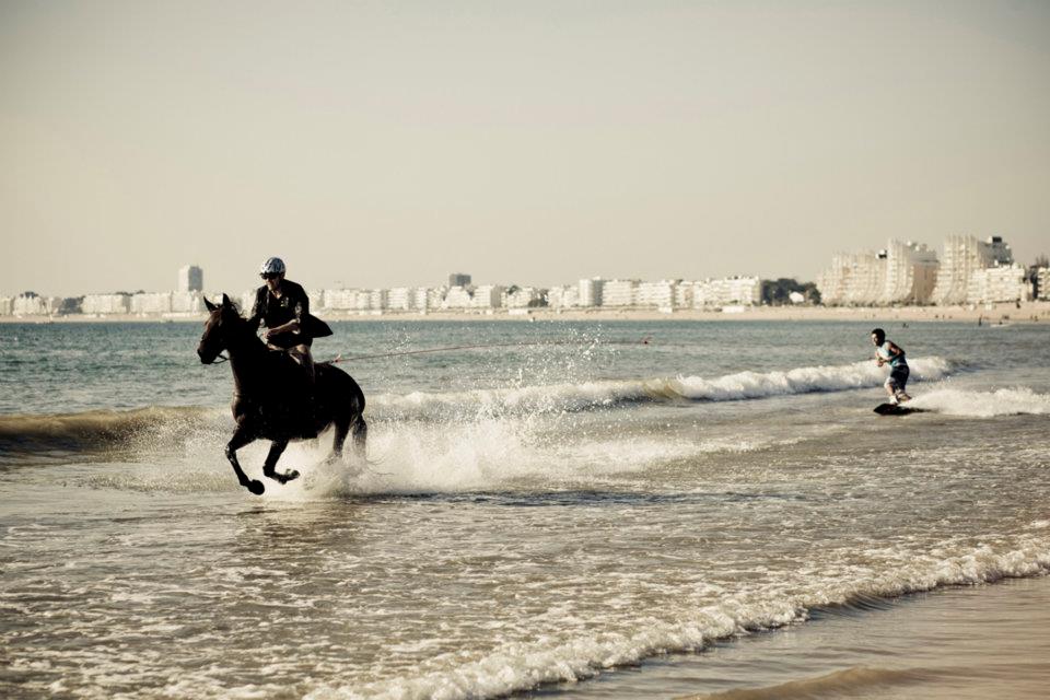 Grégory Capra Le Horse Surfing