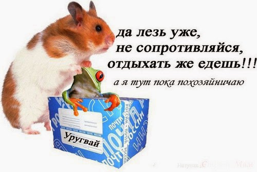 Посмеялся сам - поделись с другом!!!