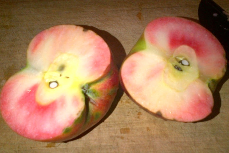 The Produce Savant November 2014