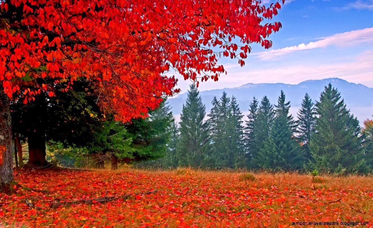 Landscape Desktop Wallpapers Free Download HD Wallpapers Landscape Desktop Wallpapers Free Download HD Wallpapers