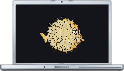 Mac Book Pro