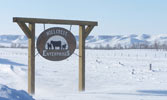 Hillcrest Feedlot Sign