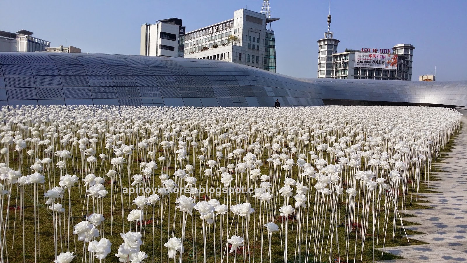 A Pinoy In Korea Dongdaemun S 20 000 White Flowers