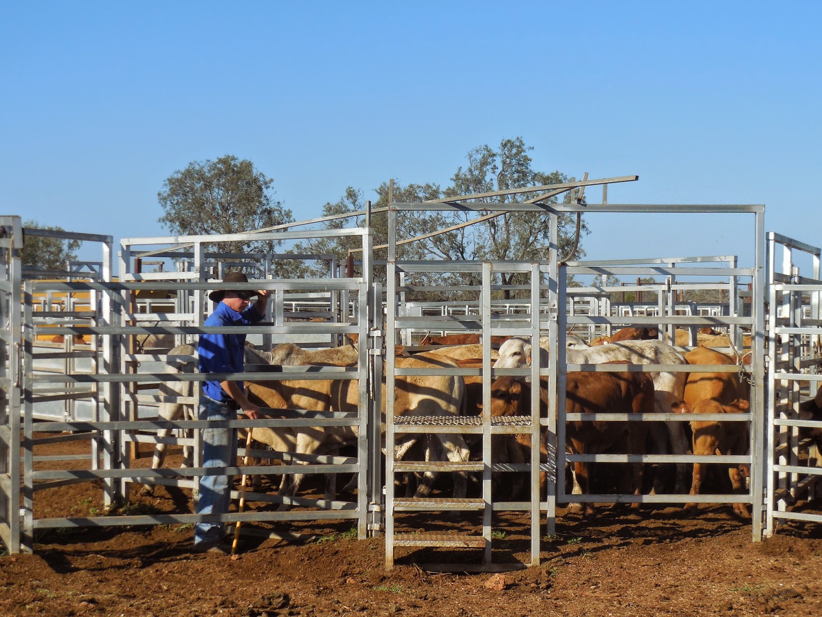 Faire du désherbant