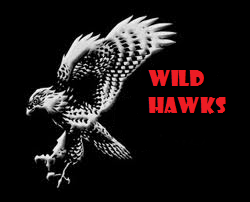 Wild Hawks