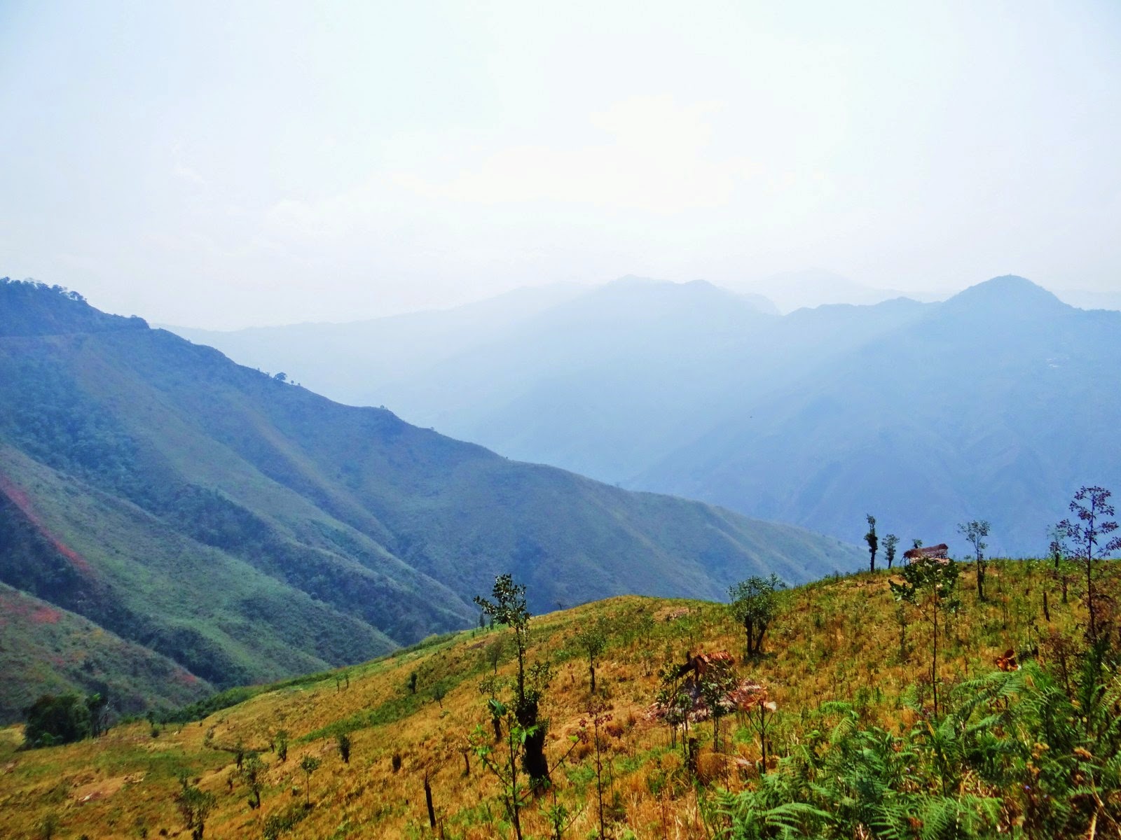THE WANCHO ENCHANTED GLIMPSE OF THE WANCHO INHABITED LONGDING DISTRICT