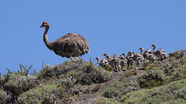 Ver las imágenes de origen