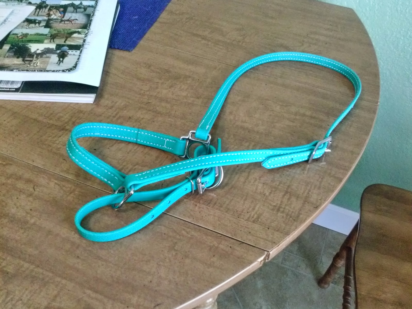 SprinklerBandits Color Me Unimpressed Two Horse Tack Review