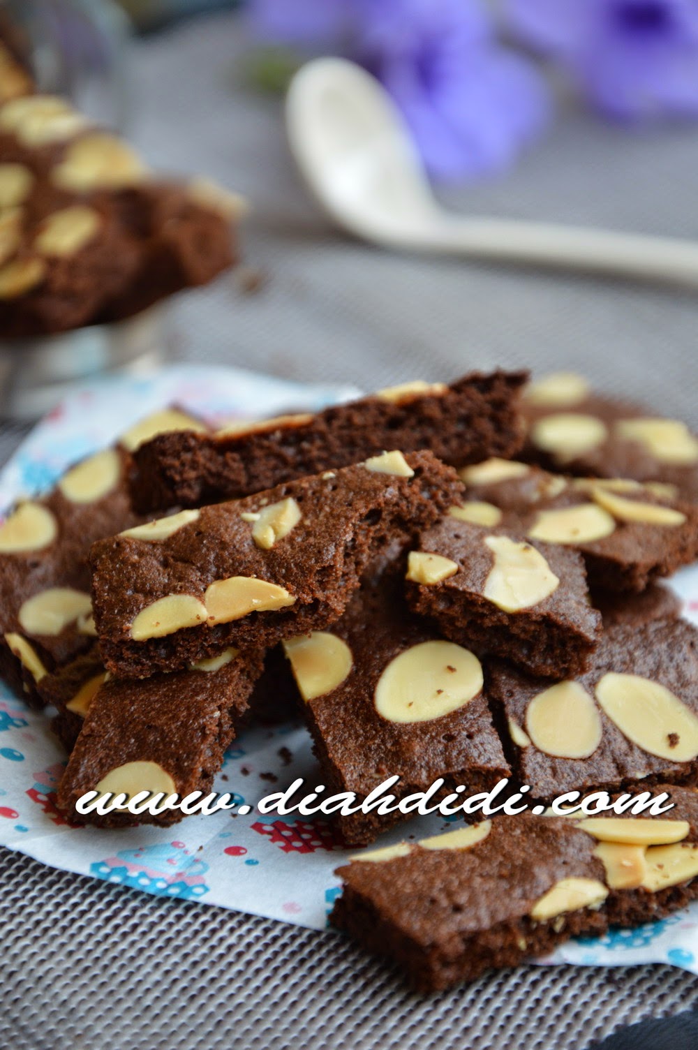 Diah Didi's Kitchen Brownies Cookies Praktis