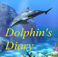 Dolphin’s Diary