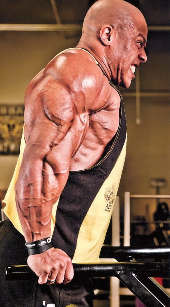 Bodybuilding motivation parallel bar dip