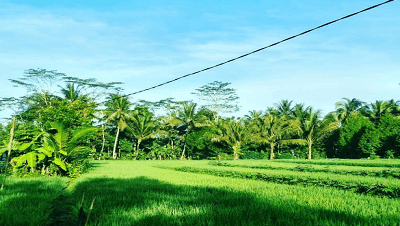 Kumpulan Puisi Alam - Puisi Keindahan Alam Dan Kehidupan Kumpulan Puisi Alam - Puisi Keindahan Alam Dan Kehidupan
