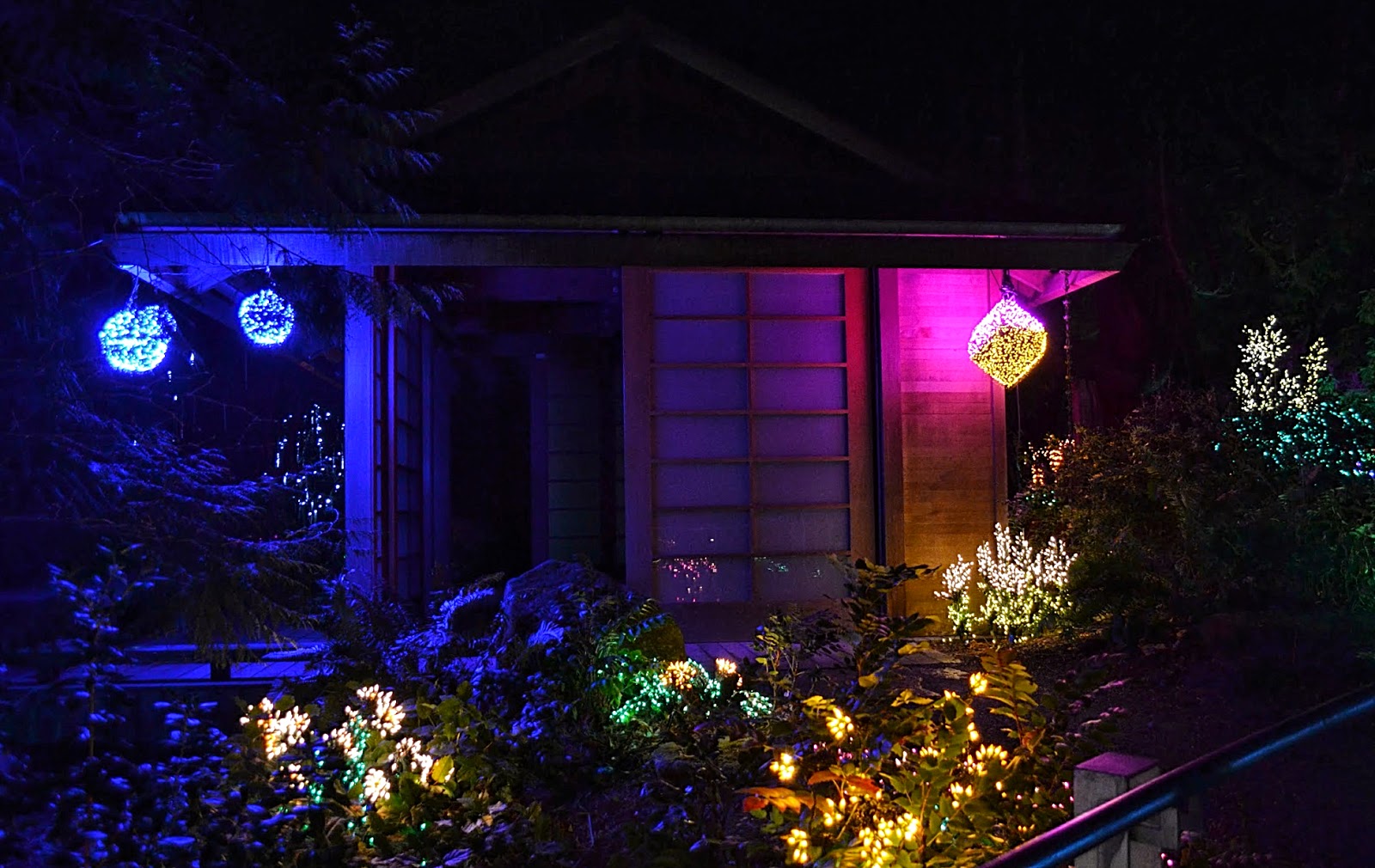 The Outlaw Gardener: Garden d'Lights at Bellevue Botanical Garden