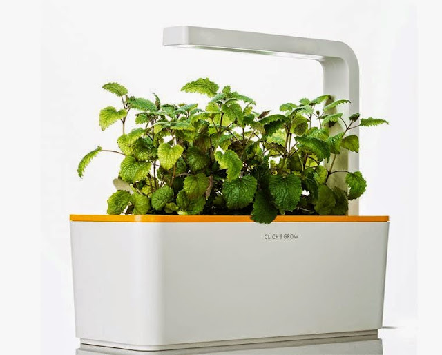 Root : Root is a smart countertop gardening system comes with an ...
