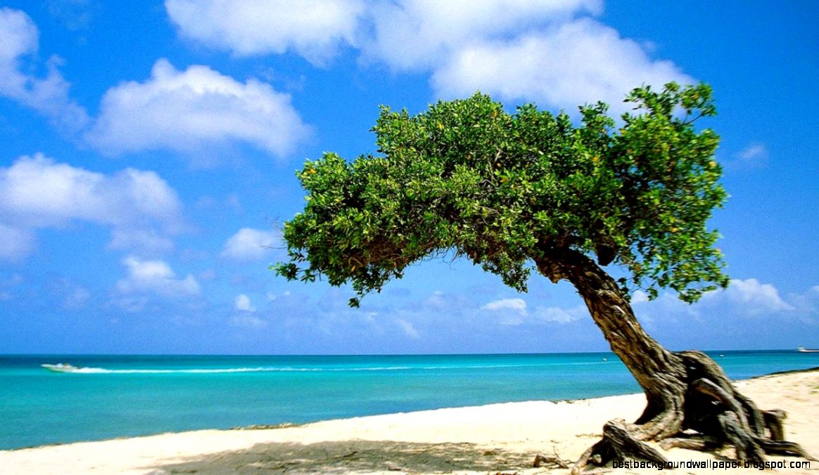 Beautiful Paradise Beach  Free Best Hd Wallpapers Beautiful Paradise Beach  Free Best Hd Wallpapers
